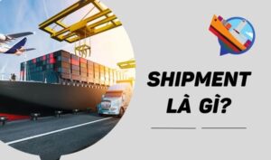 shipment-la-gi-1