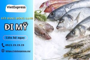 Dịch vụ gửi hàng đông lạnh đi Mỹ tại VietExpress