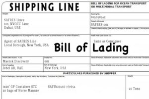 Những nội dung chính trên Bill of lading