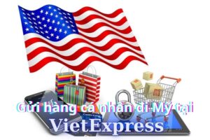 Gửi hàng cá nhân đi Mỹ cùng với VietExpress