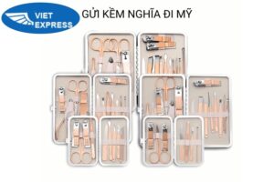 Gửi kềm nghĩa đi Mỹ tại VietExpress