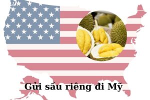 Dịch vụ gửi sầu riêng đi Mỹ giá rẻ tại VietExpress