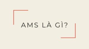 Lợi ích của việc áp dụng phí AMS là gì?
