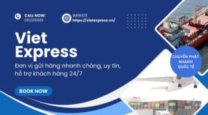 Đánh giá kỹ lưỡng và lựa chọn đúng công ty vận chuyển giúp đảm bảo hiệu quả tối ưu cho mỗi lô hàng quốc tế.